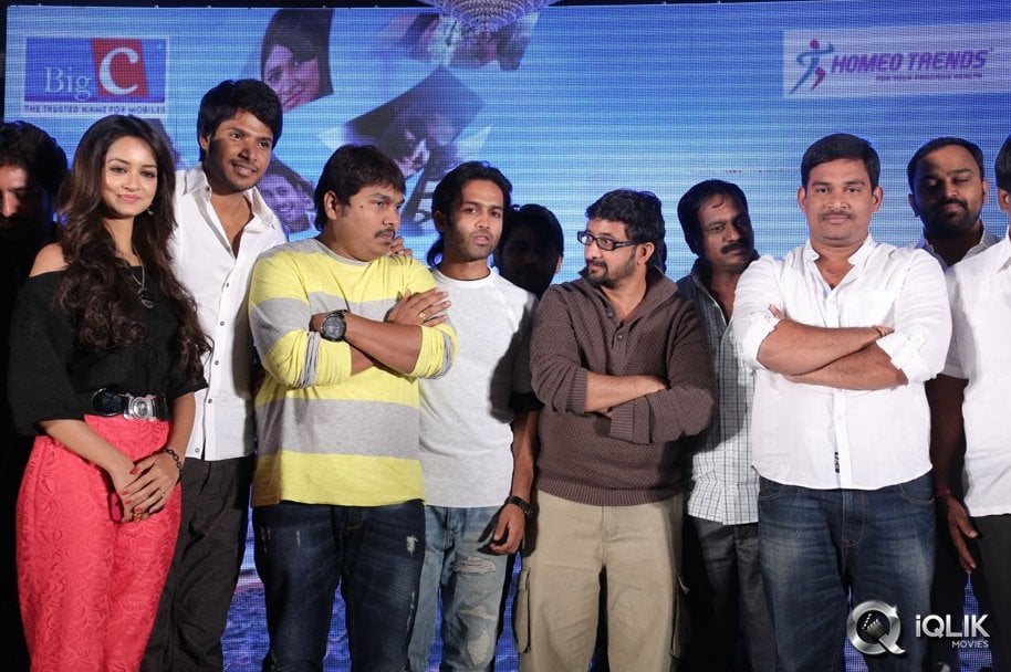 Gallo-Telinattunde-Movie-Audio-Function